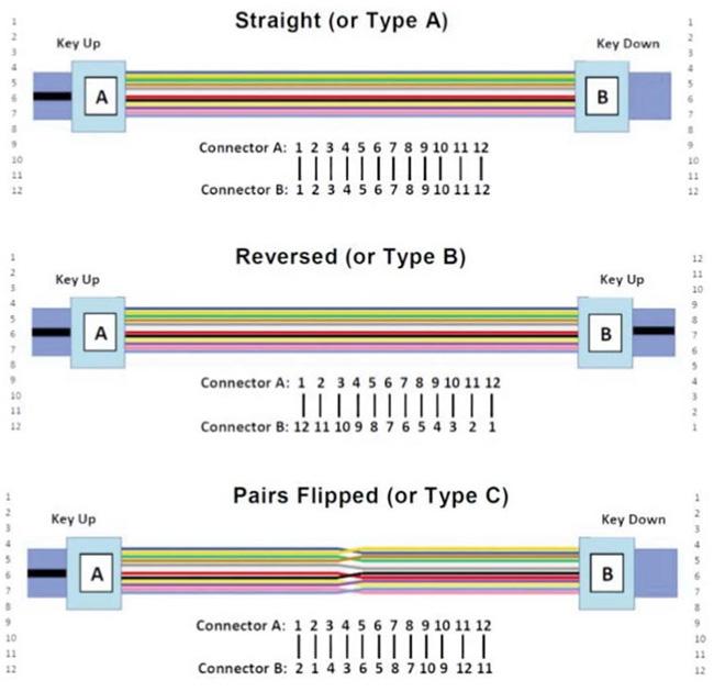 MProtein polarity methods diagram上加