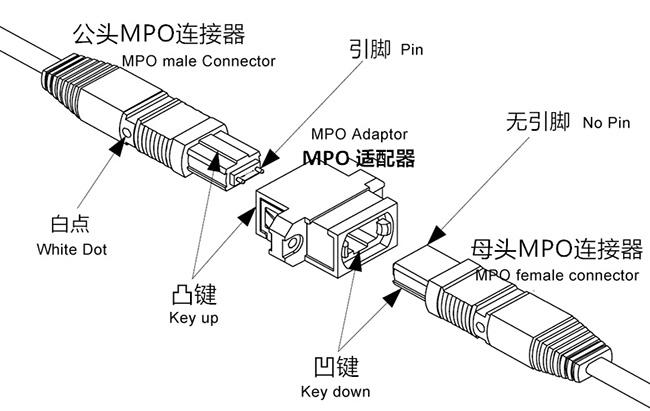 MPO APC TO LC Fan Out 0.9mm 12 Fiber Simple Module Optic Patch Cord