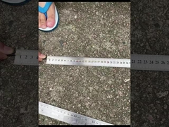 CPRI Bbu Odc-Dlc Cpri Optical Fiber Patch Cord Waterproof With Sealed Dust Cap