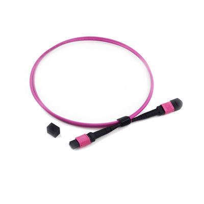 buy 12 Fibre MPO MTP Patch Cord with Low Insertion Loss and 3.0mm PVC Jacket for High Performance online manufacture
