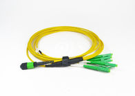 Green MPO MTP Cable 8 Core Fiber Optic MPO To LC Patch Trunk Cable For CATV