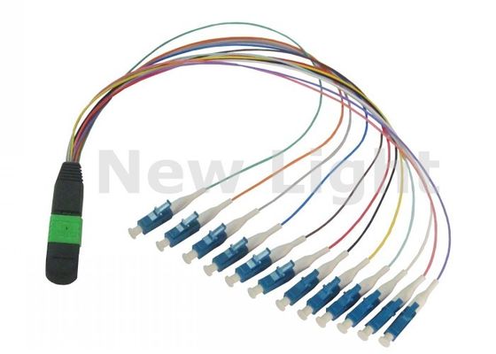 buy 12 Core Single Mode MPO MTP Cable Factory Terminated for High Density Data Networks online manufacture