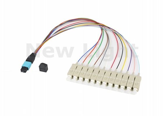 buy Multimode OM3 MPO MTP Cable 12 Cores / 24 Cores for Storage Area Networking Fiber Channel online manufacture