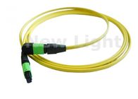 Single Mode 12 Core MPO MTP Cable / MTP Trunk Cable With APC Polish CE Approved