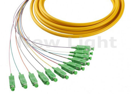buy 1 Meter Single Mode SC APC 12 Core Fiber Optic Pigtail for High-Speed Data Transmission online manufacture