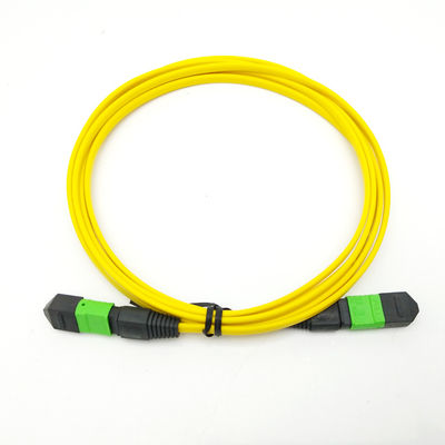 buy 12 Core Single Mode MPO MTP Cable 10M Length High Density Fiber Patch Cord online manufacture