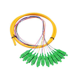 Buy 12 Core SC APC single mode distribution  Fiber Optic Pigtail For Telecommunication Networks online manufacture