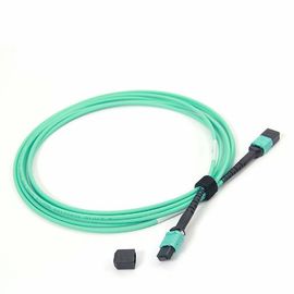 Buy Female MPO - MPO Fiber Patch Cord OM4 50 / 125  24 Core Multimode 10ft Length online manufacture