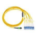 G652D LSZH Single Mode Duplex Fiber Optic Cable MPO / MTP Trunk Cord 8/12/24 Core