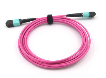 Buy Patch Cord MPO TO MPO 12 Fiber Core OM4 Magenta MPO MTP Trunk Cable online manufacture