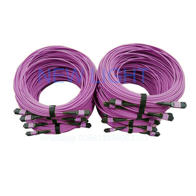 buy OM4 12 Core MPO MTP Cable with Customizable Length for High Density Data Centers online manufacture