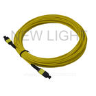 3.0 Mm MPO To MPO Single Mode Cable / 12 Core Multimode Fiber Optic Cable