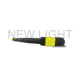 Buy MTP ( Female ) To MTP ( Female ) Single Mode Cable Polarity B For QSFP28 Transceivers online manufacture