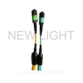 Buy 12 And 24 Core MPO To 4 Duplex LC Breakout Cable Fiber Types Multi Color online manufacture