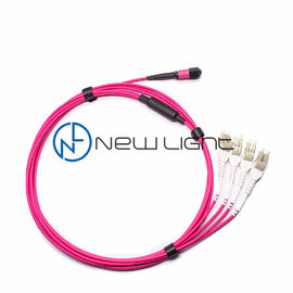 Buy OM4 100G Transmission 12 Strand MTP Patch Cable online manufacture