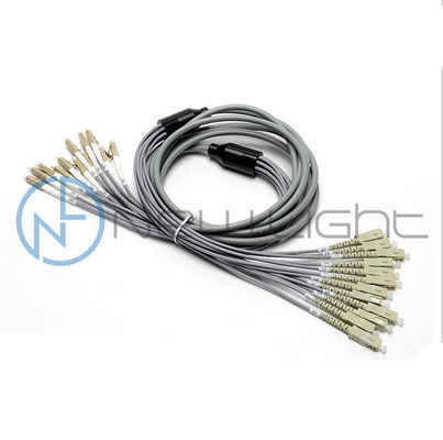 buy 12F Fan-Out Armoured Multimode Optical Fiber Patch Cord with Customized Length for High-Density Wiring online manufacture