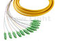 1 Meter Fiber Optic Jumper Cables SM Simplex SC APC 12 Core Fanout Fiber Optic Pigtails