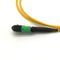USCOME 24 Core MPO MTP Cable G657A1 LSZH 3.0 Single Mode Patch Cord Customized Length