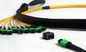 Single Mode 9 / 125 Fiber Optic Patch Cord Cable 12 Fiber Trunk MTP / MPO Pvc