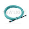 Typically Consist Of OM3/OM4 Multimode Cables , MTP / MPO Trunk Cables