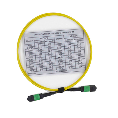 Female OS2 9/125 MPO MTP Cable 12 Fibre Multimode Patch Cord