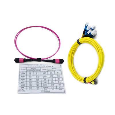 3.0mm 100G MPO To MPO Jumper Fiber Cable Female Connector 10m Low Insertion Loss