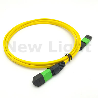 1m Single Mode MPO MTP Cable with Male/Female Connector for Low Insertion Loss Fiber Patch Cord