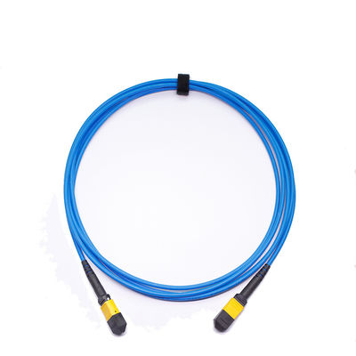 Low Insertion Loss ≤ 0.35dB 24 Core MPO MTP Cable with LSZH Material Fiber Optic Patch Cord