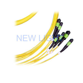 G652D LSZH Single Mode Duplex Fiber Optic Cable MPO / MTP Trunk Cord 8/12/24 Core