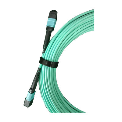 OM4 12 Core MPO MTP Cable for 40/100 G High-Speed Fiber Optic Patch Cord